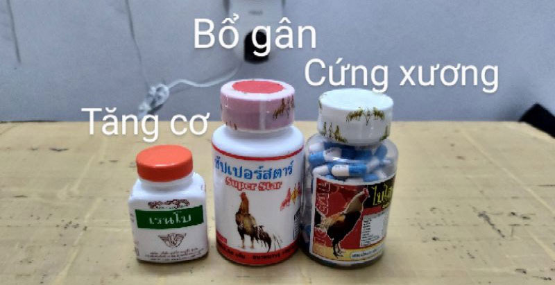 Gà đá cũng cần sử dụng thêm vitamin các loại